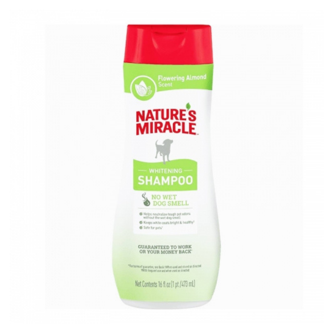 shampoo blanqueador